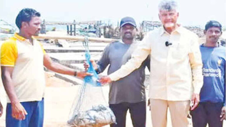 చంద్రబాబు : నేడు కావలికి చంద్రబాబు