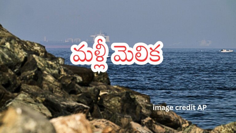US ఇరాన్ వివాదం : హోర్ముజ్పై అమెరికా ఒత్తిడి.. ఇరాన్ ట్యాంకర్ తనిఖీ