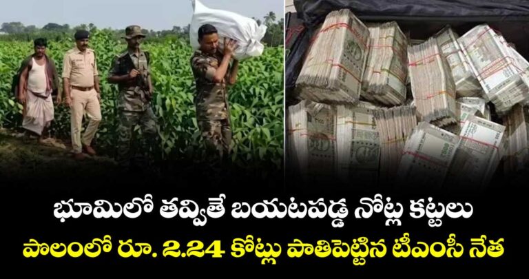 పొలంలో రూ. 2.24 కోట్లు పాతిపెట్టిన టీటీడీ నేత
