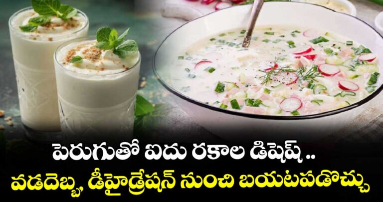 పెరుగుతో ఐదు రకాల డిషెష్ ..వడదెబ్బ, డీహైడ్రేషన్ నుంచి బయటపడొచ్చు