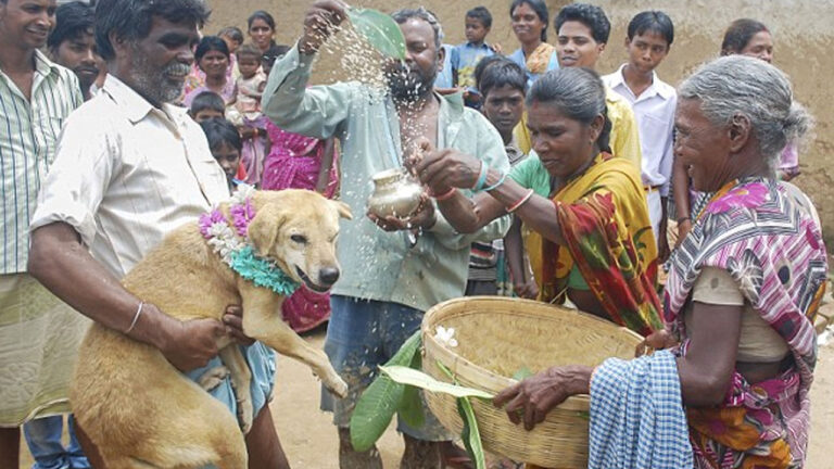 కుక్కలతో మనుషులకు పెళ్లా.. ఇదేం ఆచారం రా నాయనా