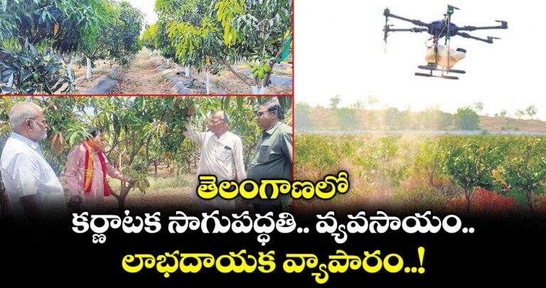 తెలంగాణలో.. కర్ణాటక సాగుపద్ధతి.. వ్యవసాయం.. లాభదాయక వ్యాపారం..!