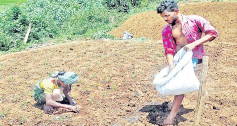 ఆర్ఓఎఫ్ఆర్ భూములకూ పంటరుణాలు