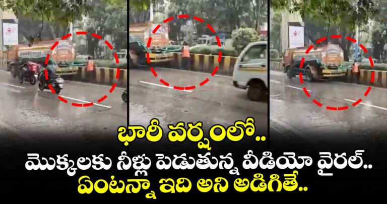 భారీ వర్షంలో మొక్కలకు నీళ్లు పెడుతున్న వీడియో వైరల్.. ఏంటన్నా ఇది అని అడిగితే..
