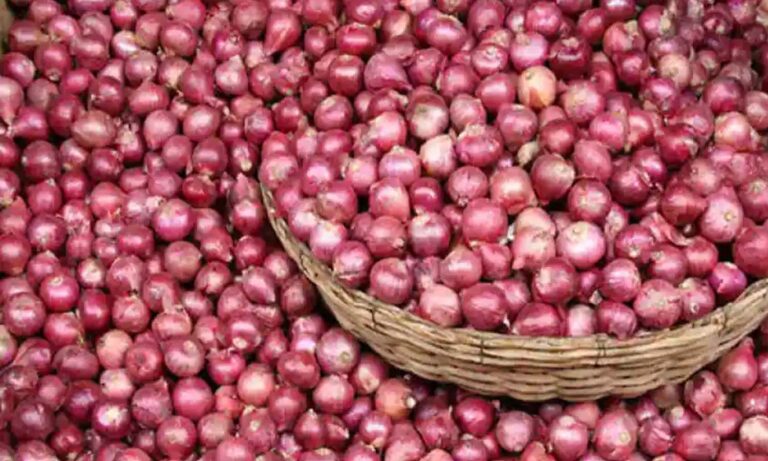 కేంద్ర ప్రభుత్వం ఉల్లి రైతులకు గుడ్ న్యూస్
