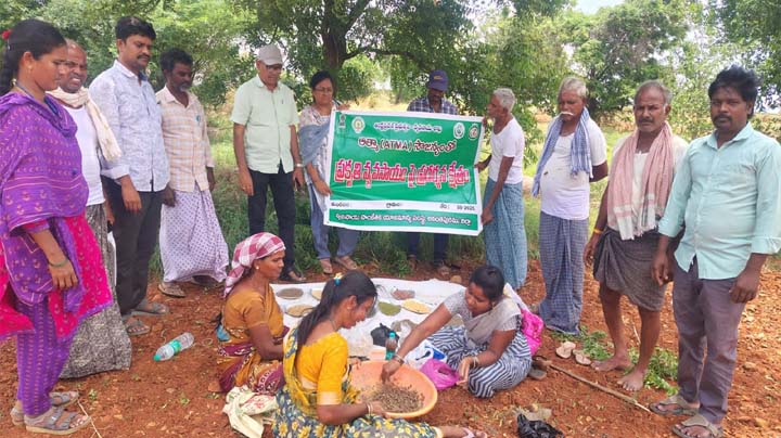 విద్యార్థులకు చిక్కీలను వెంటనే అందించాలి…..