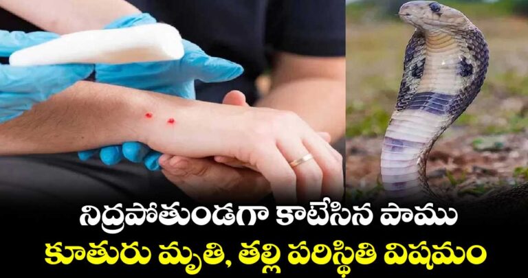 నిద్రపోతుండగా కాటేసిన పాము.. కూతురు మృతి, తల్లి పరిస్థితి విషమం