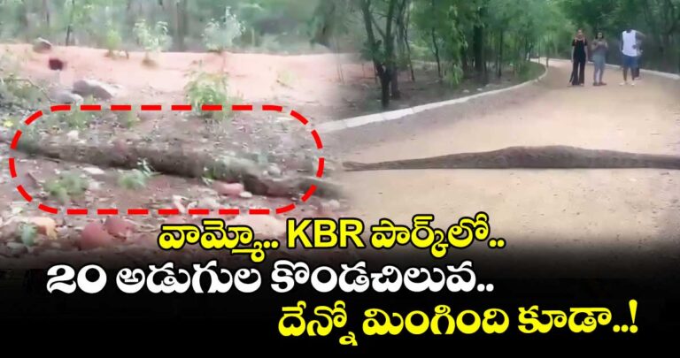 వామ్మో.. KBR పార్క్లో 20 అడుగుల కొండచిలువ.. దేన్నో మింగింది కూడా..!