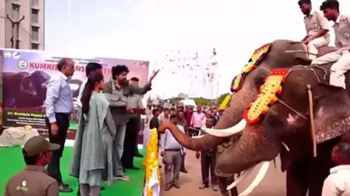 కుంకీ ఏనుగులకు స్వాగతం పలికిన పవన్ కల్యాణ్