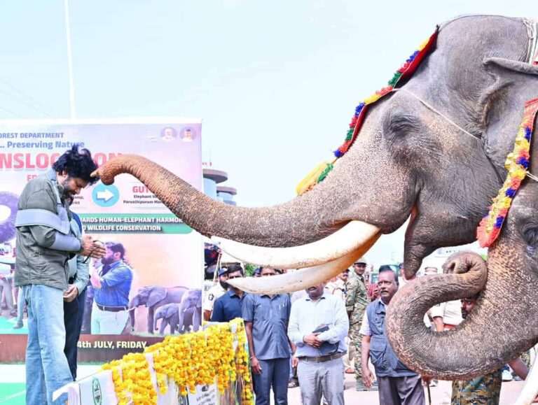 మన్యానికి కుంకీలను పంపిన పవన్ కల్యాణ్