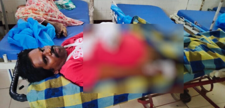 అడవిపంది దాడిలో యువకుడికి తీవ్ర గాయాలు